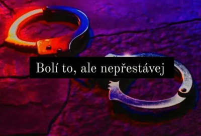 Pan Vychovatel 8 