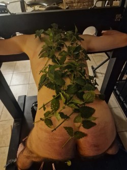 BDSM inzerát