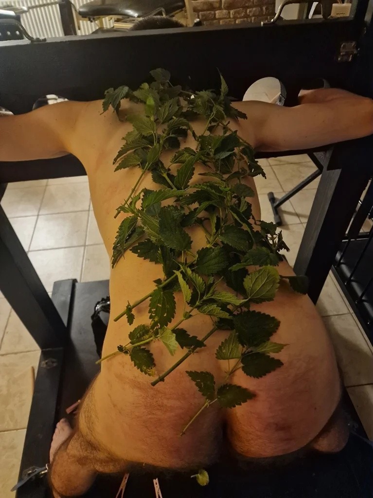 BDSM inzerát