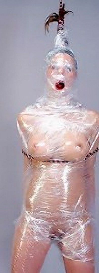 sylvie transdomina 3 