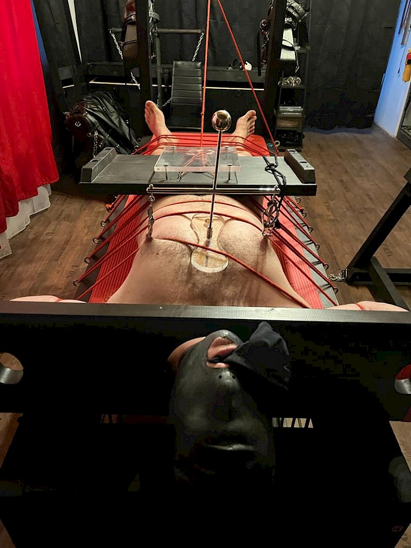 BDSM inzerát