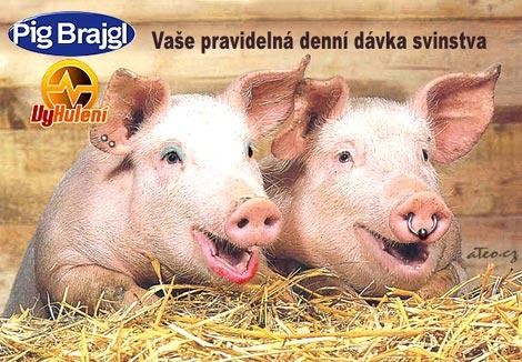 avatar-Na vše...