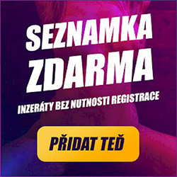 Vložit inzerát zdarma